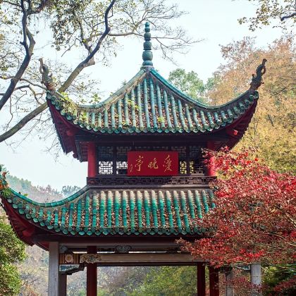 长沙湖南博物院+岳麓书院+橘子洲【(米粉街+火宫殿)精致小团 长沙湖南博物院+岳麓书院+橘子洲【(米粉街+火宫殿)精致小团