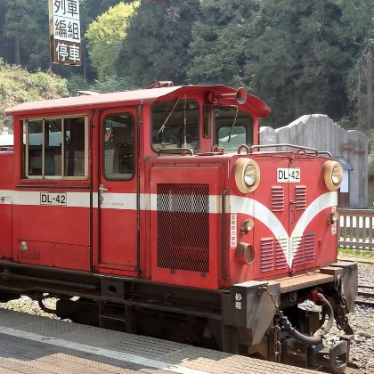 中国 台湾 嘉义 阿里山专车之旅 中国 台湾 嘉义 阿里山专车之旅