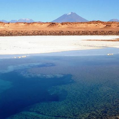 阿根廷萨尔塔探索萨利纳斯格兰德斯盐沼bed 阿根廷萨尔塔探索萨利纳斯格兰德斯盐沼bed