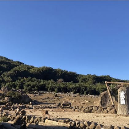 小豆岛橄榄公园+寒霞溪+铫子溪自然动物园一日游 小豆岛橄榄公园+寒霞溪+铫子溪自然动物园一日游