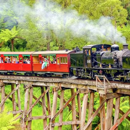 墨尔本普芬比利蒸汽小火车+企鹅岛一日游【中文司导/天天出发】 墨尔本普芬比利蒸汽小火车+企鹅岛一日游【中文司导/天天出发】