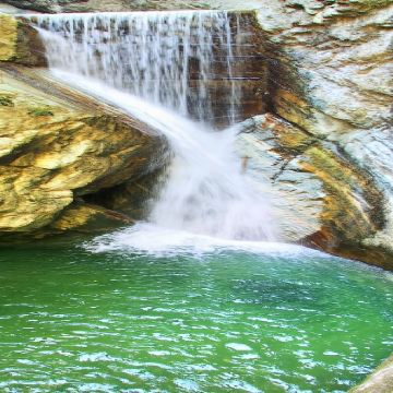 牛背梁国家森林公园一日游【西安旅游包车+畅游不限时】 牛背梁国家森林公园一日游【西安旅游包车+畅游不限时】