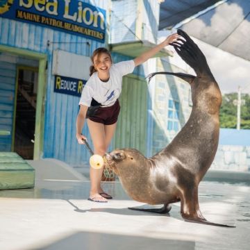 苏比克海洋公园探险王国一日游一日游【马尼拉往返】 苏比克海洋公园探险王国一日游一日游【马尼拉往返】