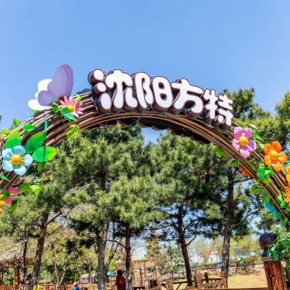 沈阳方特欢乐世界一日游【(请咨询是否成团后下单)】 沈阳方特欢乐世界一日游【(请咨询是否成团后下单)】