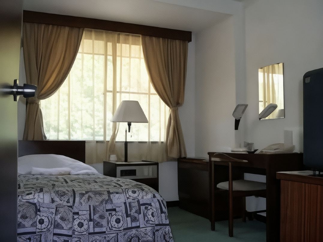 Ashikaga Business Hotel