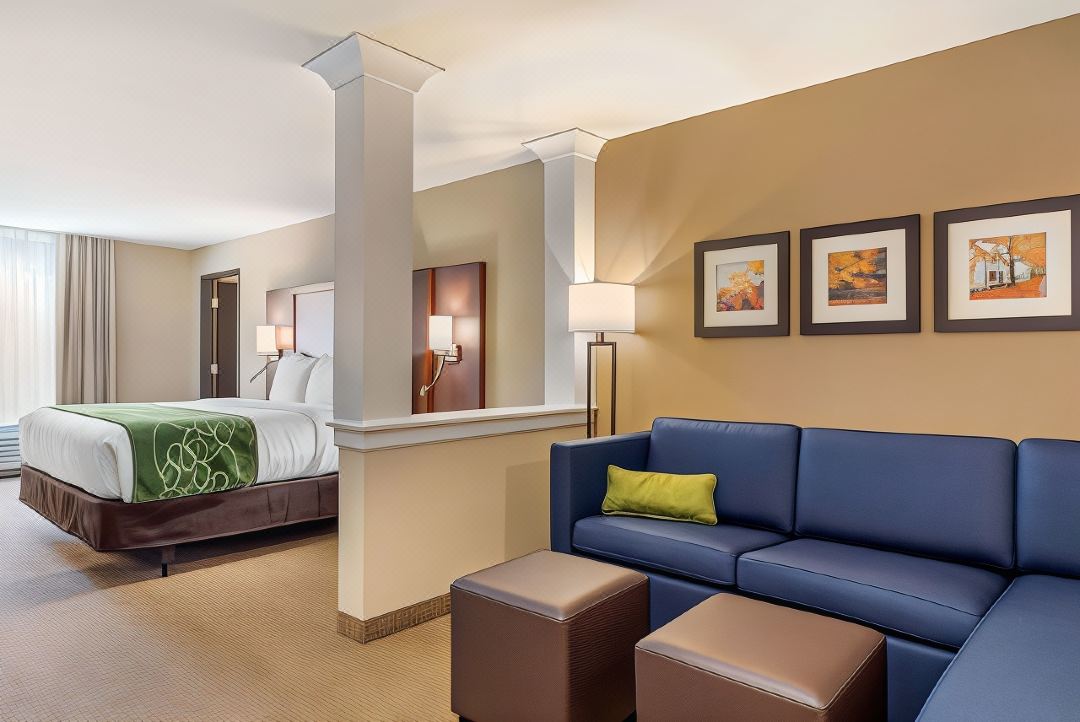 Comfort Inn & Suites Schenectady - Scotia