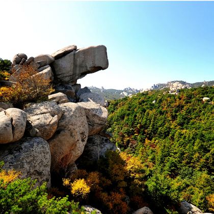 【包车】青岛景区私家团 【可从市区或黄岛出发,行程可定制】 【包车】青岛景区私家团 【可从市区或黄岛出发,行程可定制】