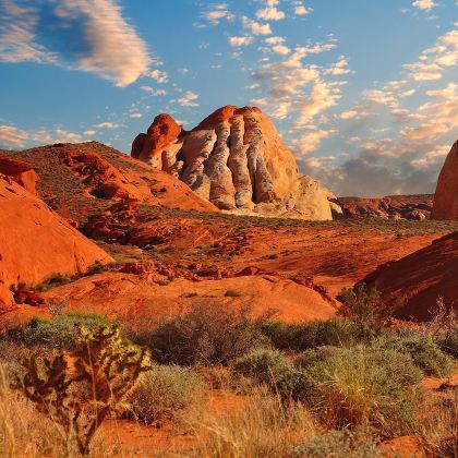 【中文包车】火焰谷州立公园+七彩石+拉斯维加斯大道一日游 【中文包车】火焰谷州立公园+七彩石+拉斯维加斯大道一日游