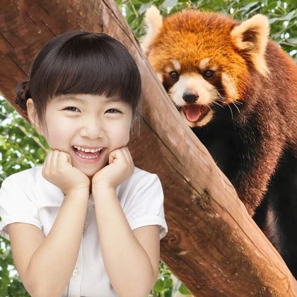 北京动物园+八达岭长城一日游【精选小团◉亲子甄选◉专车接送】 北京动物园+八达岭长城一日游【精选小团◉亲子甄选◉专车接送】
