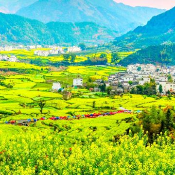 婺源篁岭+江岭 双岭赏花纯玩一日游【6人小团/赏花品质专线】 婺源篁岭+江岭 双岭赏花纯玩一日游【6人小团/赏花品质专线】