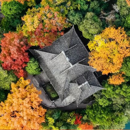 宁波溪口一日活动【雪窦山弥勒佛+蒋氏故居 含往返车 可含中餐】 宁波溪口一日活动【雪窦山弥勒佛+蒋氏故居 含往返车 可含中餐】