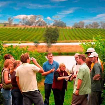 【包含品酒】澳大利亚墨尔本亚拉河谷酒庄一日游/一场葡萄酒盛宴 【包含品酒】澳大利亚墨尔本亚拉河谷酒庄一日游/一场葡萄酒盛宴