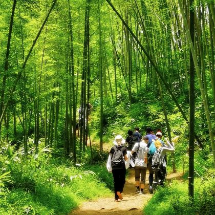 【星溪线】广州+溪头村一日游丨品味竹筒饭+穿越竹林丨定制团建 【星溪线】广州+溪头村一日游丨品味竹筒饭+穿越竹林丨定制团建