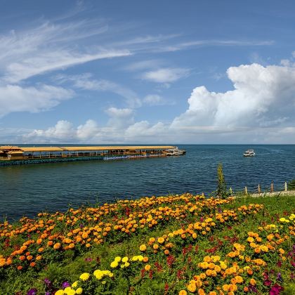 包车游新疆南疆博斯腾湖大河口+连海世界一日纯玩+上门接送 包车游新疆南疆博斯腾湖大河口+连海世界一日纯玩+上门接送