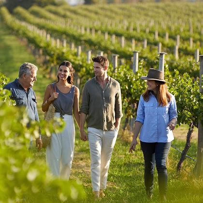 悉尼猎人谷一日游【市区出发丨酒庄品酒丨拍摄圣地丨海滩漫步】 悉尼猎人谷一日游【市区出发丨酒庄品酒丨拍摄圣地丨海滩漫步】