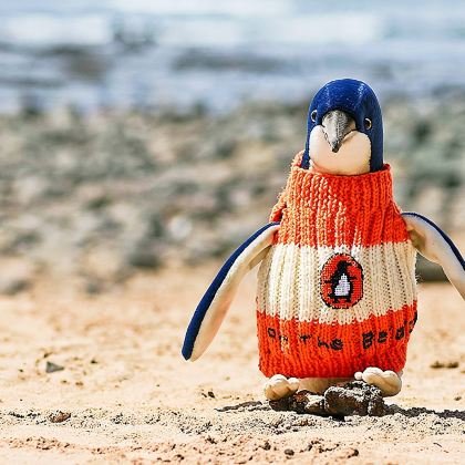 安心游#墨尔本普芬比利蒸汽火车+菲利普岛一日游 安心游#墨尔本普芬比利蒸汽火车+菲利普岛一日游