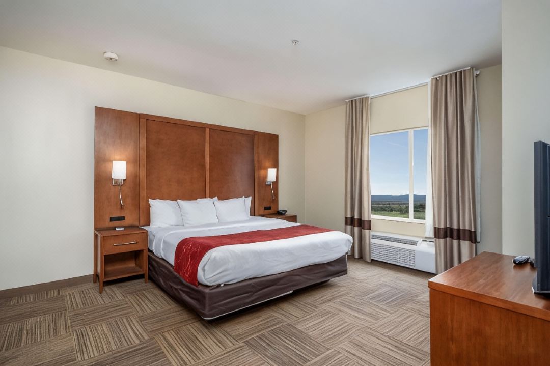 Comfort Suites University