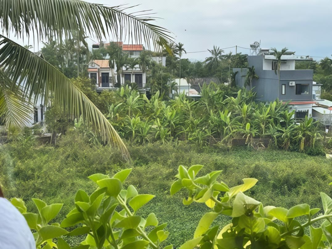 Hoi An Ti Hon House