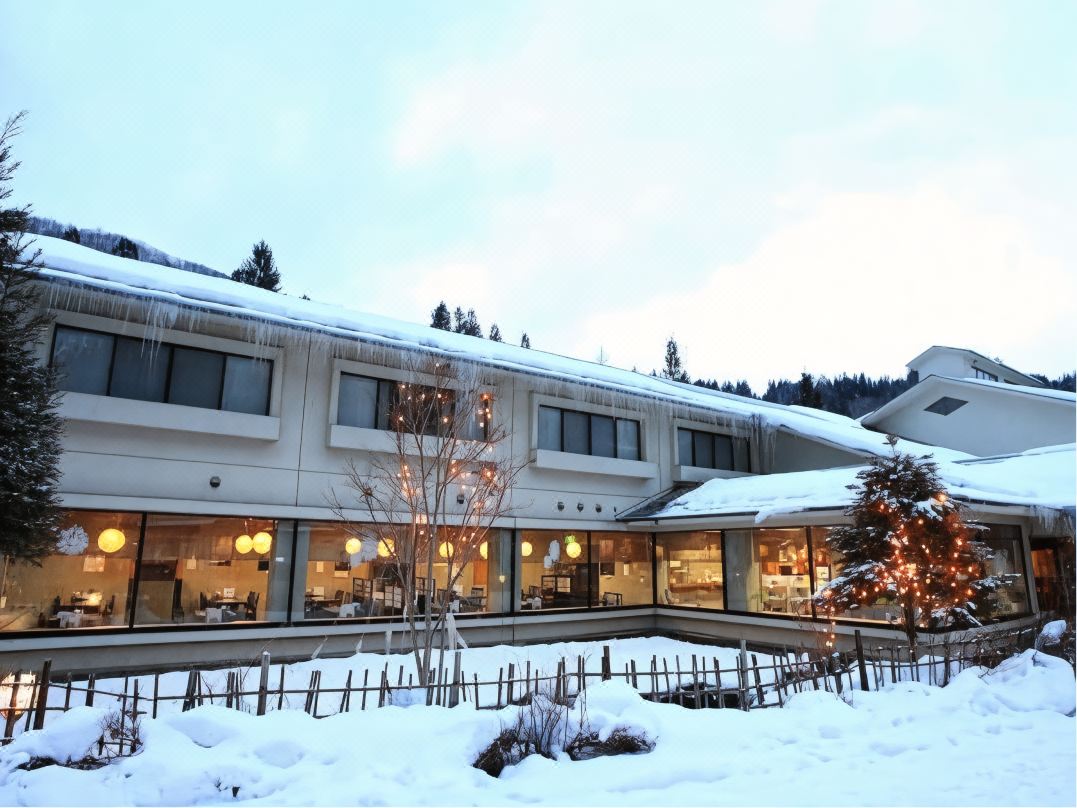 포카 포카 랜드 미아사