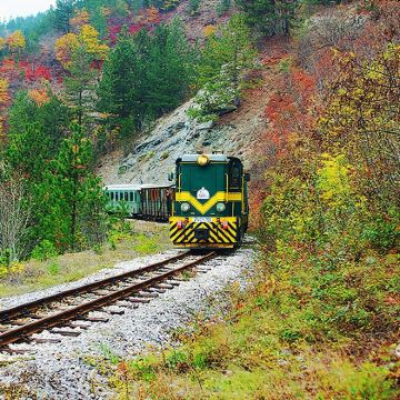 萨拉热窝+维舍格勒+木头村历史与自然之旅一日游 萨拉热窝+维舍格勒+木头村历史与自然之旅一日游