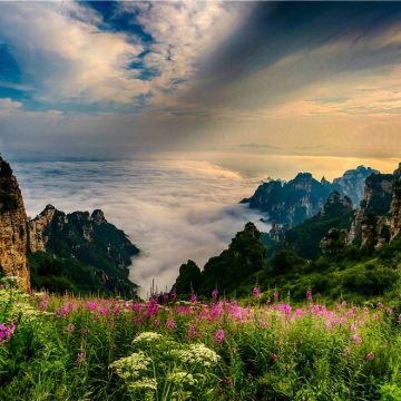 北京出发白石山一日游【含门票+含往返接送+周末出发+有领队】 北京出发白石山一日游【含门票+含往返接送+周末出发+有领队】