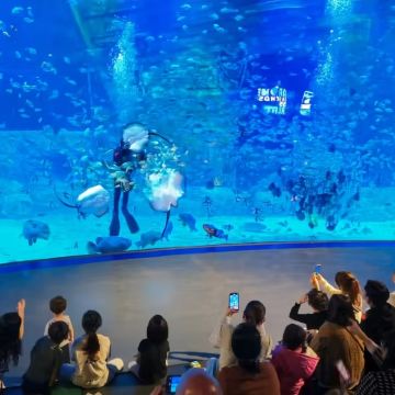 越南河内市区包车游:家庭亲子游之旅+行程可调+上门接送 越南河内市区包车游:家庭亲子游之旅+行程可调+上门接送