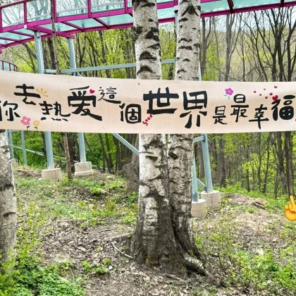 尚志帽儿山一日游【景区直通车/玻璃栈道*林海冲浪多套餐可选】 尚志帽儿山一日游【景区直通车/玻璃栈道*林海冲浪多套餐可选】