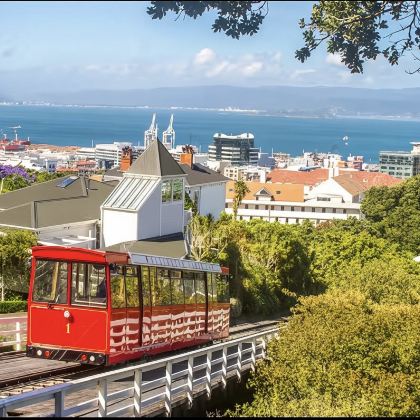 蒂帕帕国家博物馆+单轨缆车+维多利山+惠灵顿动物园一日游 蒂帕帕国家博物馆+单轨缆车+维多利山+惠灵顿动物园一日游