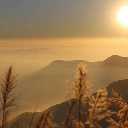 台湾阿里山风景区日游【欣赏日出、小火车】 台湾阿里山风景区日游【欣赏日出、小火车】