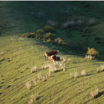 新疆S101百里丹霞观景台+昌吉回族自治州肯斯瓦特水库一日游 新疆S101百里丹霞观景台+昌吉回族自治州肯斯瓦特水库一日游