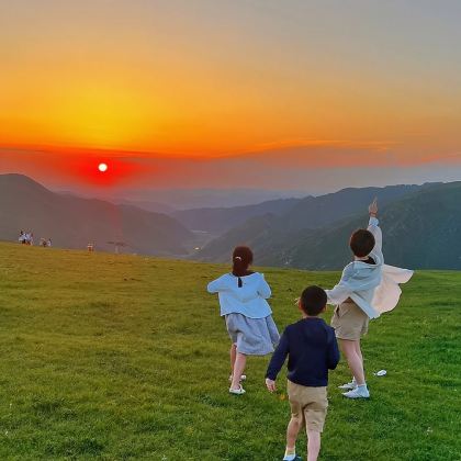 红石崖+敕勒川草原一日游 上门接送 红石崖+敕勒川草原一日游 上门接送