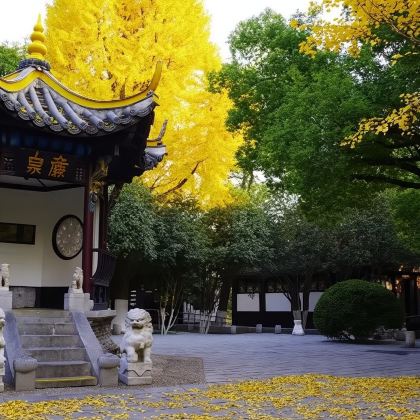 合肥包公园半日游【含门票·1.5小时深度讲解·含耳麦】 合肥包公园半日游【含门票·1.5小时深度讲解·含耳麦】