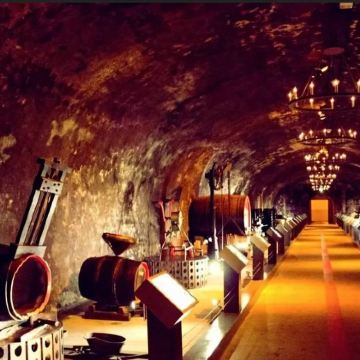 法国兰斯的酒庄-品尝香槟(景点可调整)-1日包车游 法国兰斯的酒庄-品尝香槟(景点可调整)-1日包车游