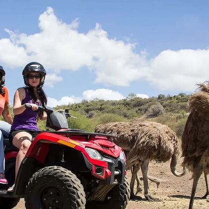 毛里求斯蓝湾+大浪湾+天涯海角包车一日游 毛里求斯蓝湾+大浪湾+天涯海角包车一日游