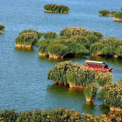 宁夏银川·沙湖+镇北堡西部影城+贺兰山岩画一日游 宁夏银川·沙湖+镇北堡西部影城+贺兰山岩画一日游
