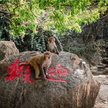 三亚槟榔谷+陵水南湾猴岛一日游【双景区门票+跨海索道+接送】 三亚槟榔谷+陵水南湾猴岛一日游【双景区门票+跨海索道+接送】