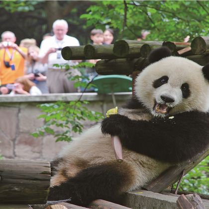 重庆重庆动物园+三峡博物馆+人民大礼堂+李子坝轻轨站一日游 重庆重庆动物园+三峡博物馆+人民大礼堂+李子坝轻轨站一日游