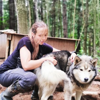 15分钟塔杜萨克幕后雪橇犬舍探秘之旅 15分钟塔杜萨克幕后雪橇犬舍探秘之旅