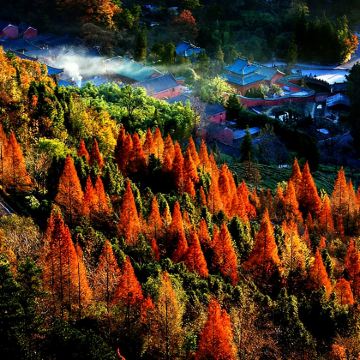 湖北十堰一日游:武当山|中英等多语种导游-定制包车 湖北十堰一日游:武当山|中英等多语种导游-定制包车