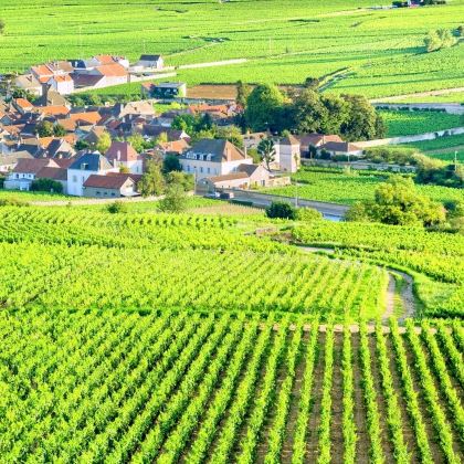 法国波尔多圣埃米利永+拉图酒庄+白马酒庄一日游 法国波尔多圣埃米利永+拉图酒庄+白马酒庄一日游