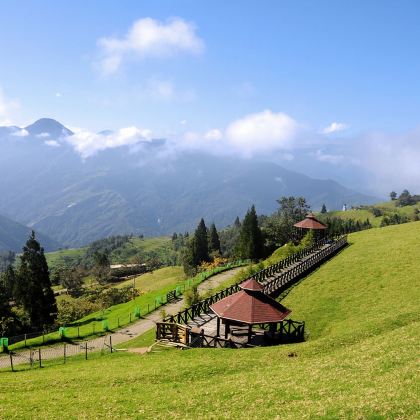 台湾南投清境农场+合欢山一日游【台中市区出发】|可包车 台湾南投清境农场+合欢山一日游【台中市区出发】|可包车