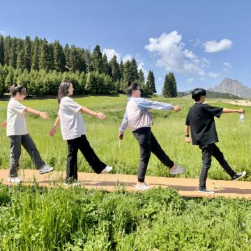 独库公路+唐布拉百里画廊一日游/6人mini团+免费接送 独库公路+唐布拉百里画廊一日游/6人mini团+免费接送