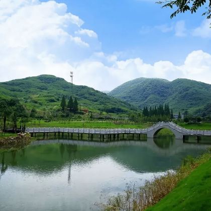 铜陵凤凰山 + 犁桥水镇日游【赏景水乡◆2-8 人小团】 铜陵凤凰山 + 犁桥水镇日游【赏景水乡◆2-8 人小团】