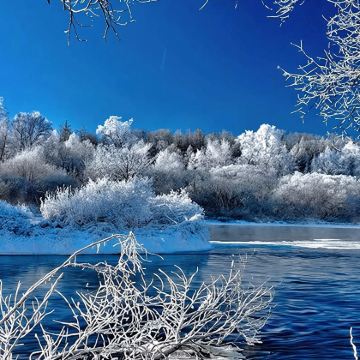 逊克大平台雾凇风景区+红星火山地质公园一日游【私家团包车游】 逊克大平台雾凇风景区+红星火山地质公园一日游【私家团包车游】