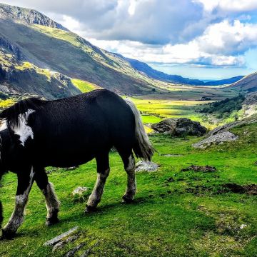 利物浦的北威尔士冒险观光10小时包车一日游 利物浦的北威尔士冒险观光10小时包车一日游