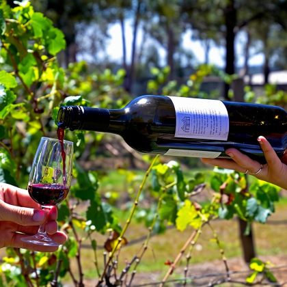 澳大利亚悉尼猎人谷中文一日游/品酒专线/特色酒庄/含午餐 澳大利亚悉尼猎人谷中文一日游/品酒专线/特色酒庄/含午餐