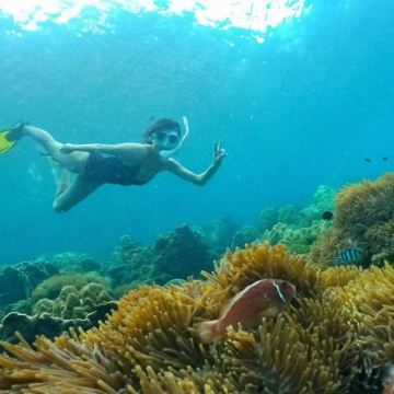 Onbird半天南富国岛快艇探索性浮潜游(最多8-10成人) Onbird半天南富国岛快艇探索性浮潜游(最多8-10成人)