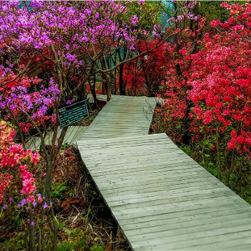 安徽岳西天峡一日游【合肥出发 含门票】 安徽岳西天峡一日游【合肥出发 含门票】