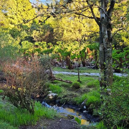 爱尔兰Killarney National Park一日游 爱尔兰Killarney National Park一日游