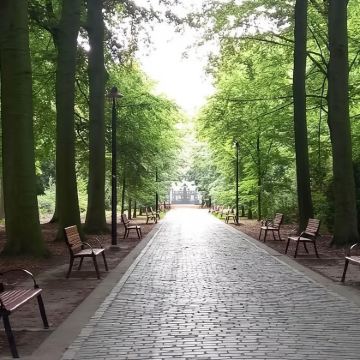 包车前往Zandbos森林,徒步沙丘自然行! 包车前往Zandbos森林,徒步沙丘自然行!